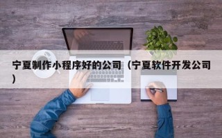佛山宁夏制作小程序好的公司（宁夏软件开发公司）